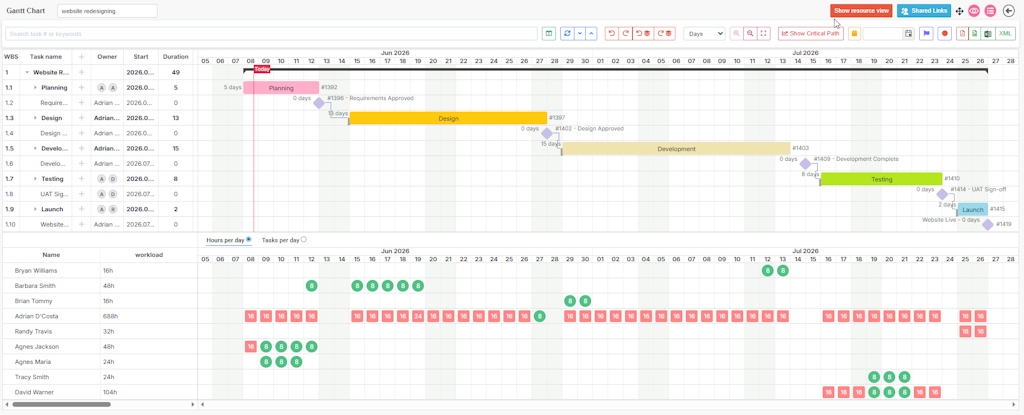 Resource management dashboard in gantt chart software showing team workload allocation